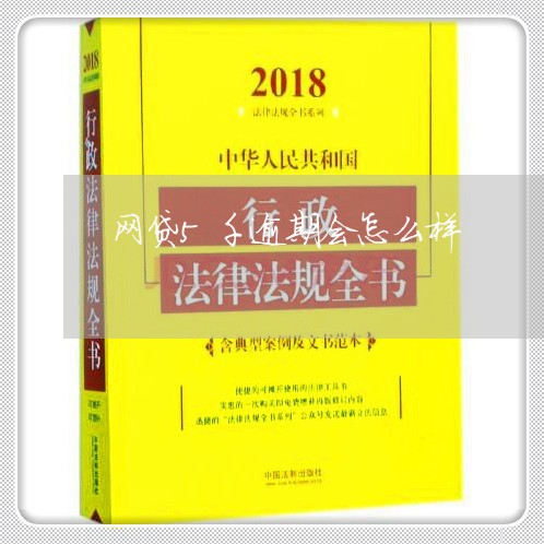 网贷5千逾期会怎么样/2023120459593