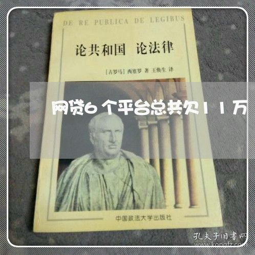 网贷6个平台总共欠11万 网贷6个平台总共欠11万