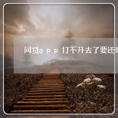 网贷app打不开去了要还吗/2023111756047