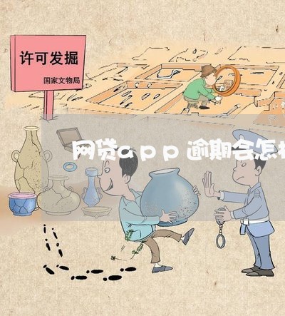 网贷app逾期会怎样/2023080101938