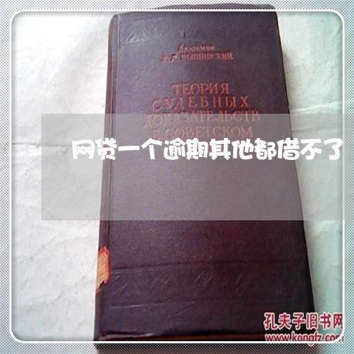 网贷一个逾期其他都借不了