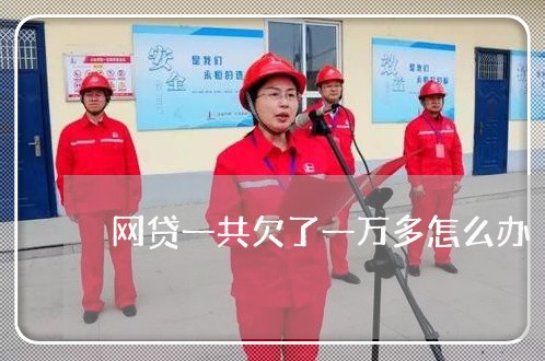 网贷一共欠了一万多怎么办 网贷一共欠了一万多怎么办