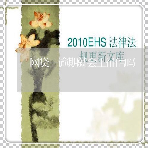 网贷一逾期就会上征信吗/2023120473614