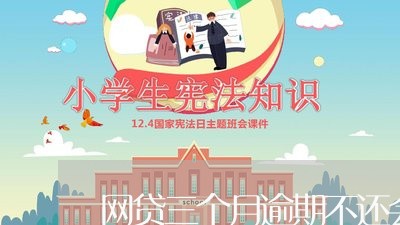 网贷三个月逾期不还会怎样/2023111713027