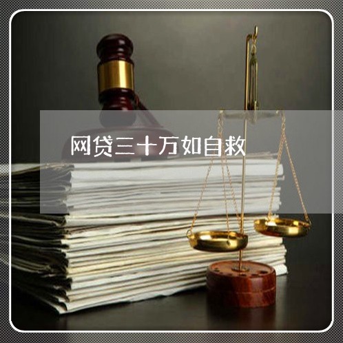 网贷三十万如自救/2023012282805