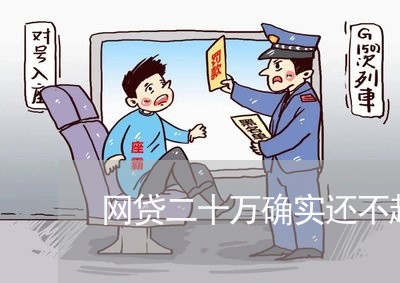 网贷二十万确实还不起了怎么办/2023100849470