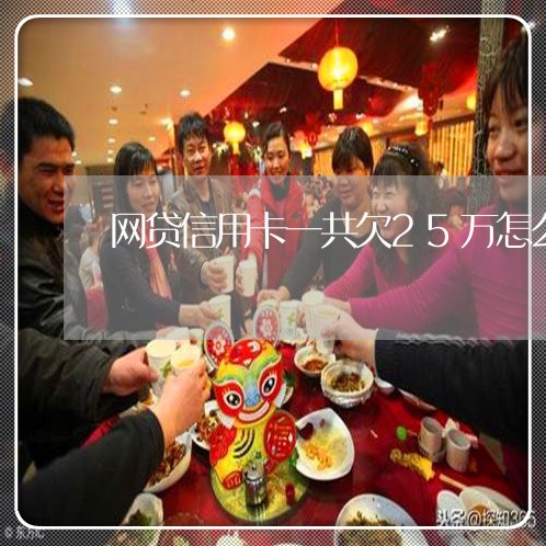 网贷信用卡一共欠25万怎么办