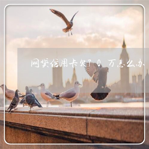 网贷信用卡欠70万怎么办