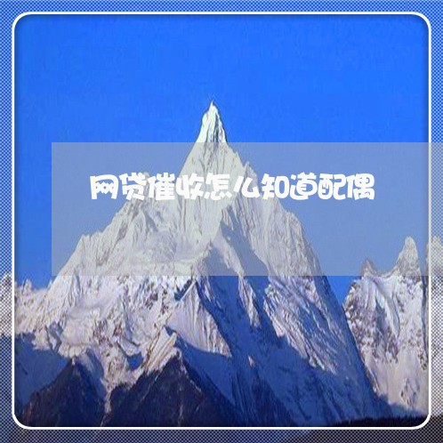 网贷催收怎么知道配偶/2023030183828 网贷催收怎么知道配偶/2023030183828