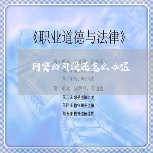 网贷公司没还怎么办呢/2023111406261