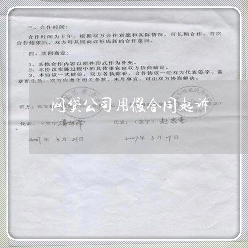 网贷公司用假合同起诉/2023112571694