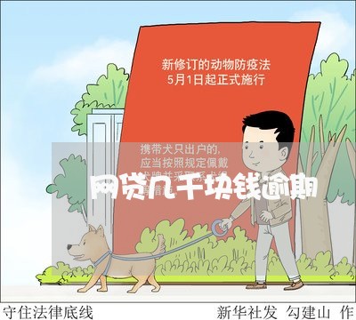 网贷几千块钱逾期 网贷几千块钱逾期