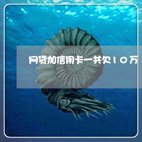 网贷加信用卡一共欠10万 网贷加信用卡一共欠10万