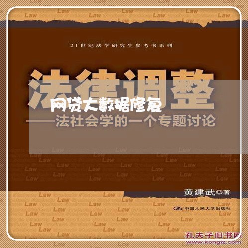 网贷大数据修复