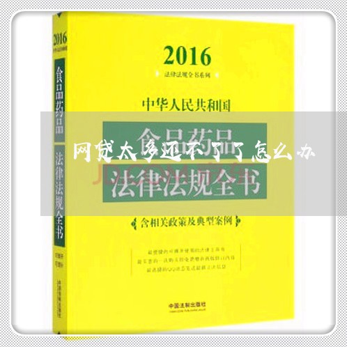 网贷太多还不了了怎么办/2023092769474