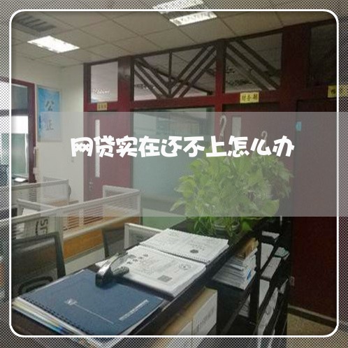 网贷实在还不上怎么办/2023011968262