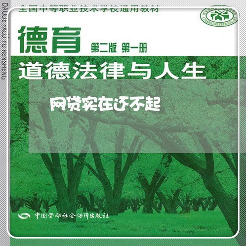 网贷实在还不起/2023030125148
