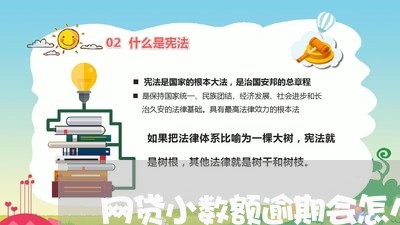 网贷小数额逾期会怎么样/2023120580716