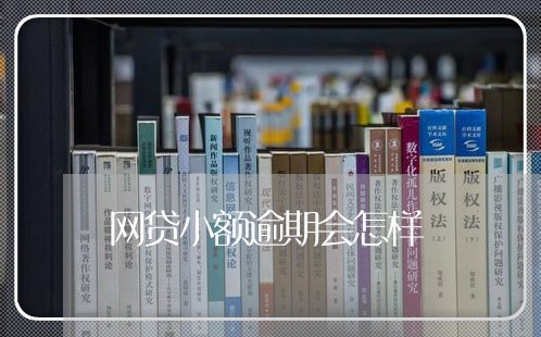 网贷小额逾期会怎样/2023080138492