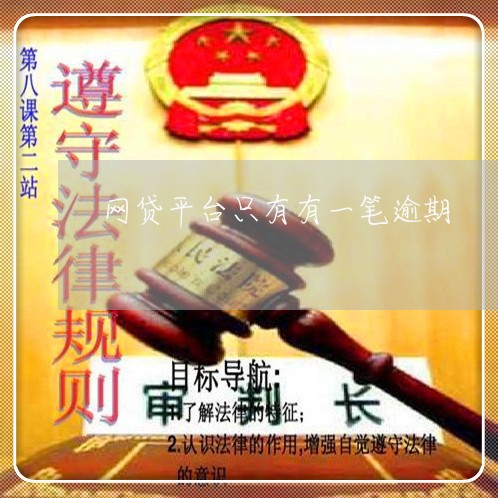 网贷平台只有有一笔逾期/2023120535260