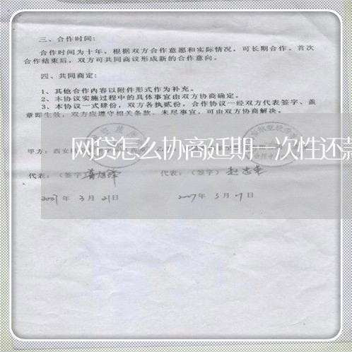 网贷怎么协商延期一次性还款/2023020410239