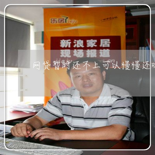 网贷暂时还不上可以慢慢还吗/2023022811838 网贷暂时还不上可以慢慢还吗/2023022811838