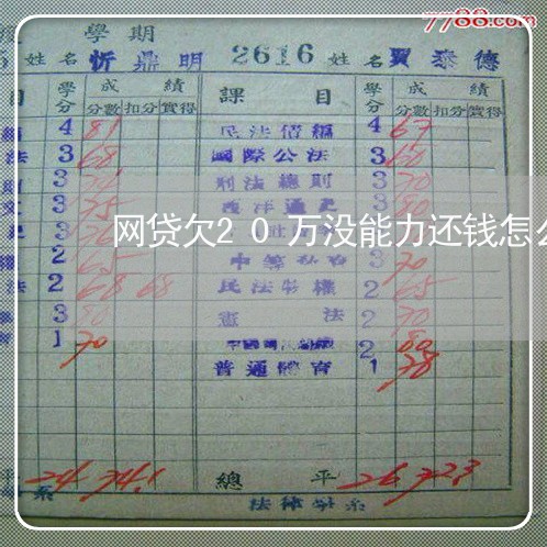 网贷欠20万没能力还钱怎么办 网贷欠20万没能力还钱怎么办