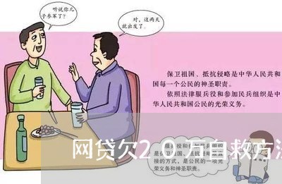 网贷欠20万自救方法视频 网贷欠20万自救方法视频