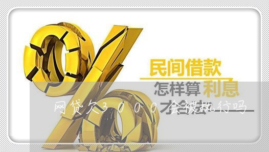网贷欠3000会被执行吗