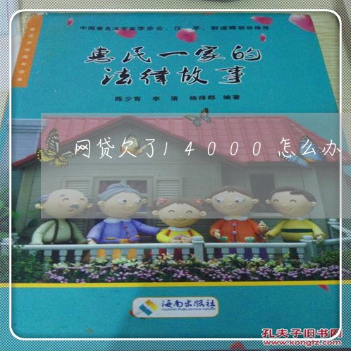 网贷欠了14000怎么办