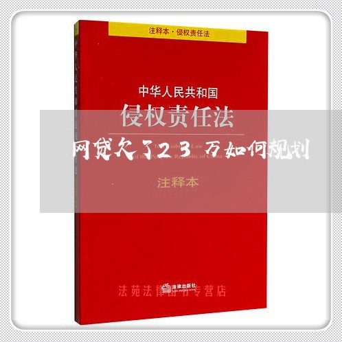 网贷欠了23万如何规划