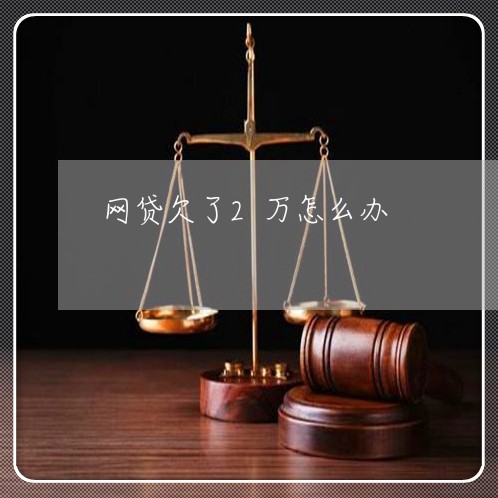 网贷欠了2万怎么办/2023011996948