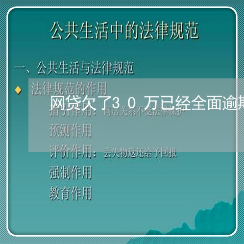 网贷欠了30万已经全面逾期/2023120338261