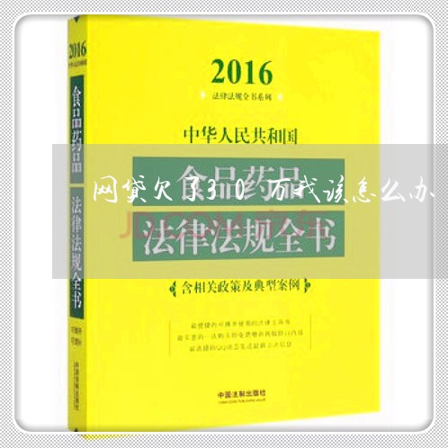 网贷欠了30万我该怎么办 网贷欠了30万我该怎么办
