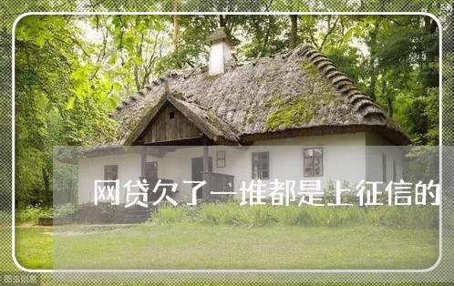 网贷欠了一堆都是上征信的 网贷欠了一堆都是上征信的