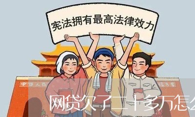 网贷欠了二十多万怎么办/2023100717047