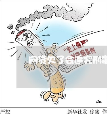 网贷欠了会追究刑事责任吗 网贷欠了会追究刑事责任吗