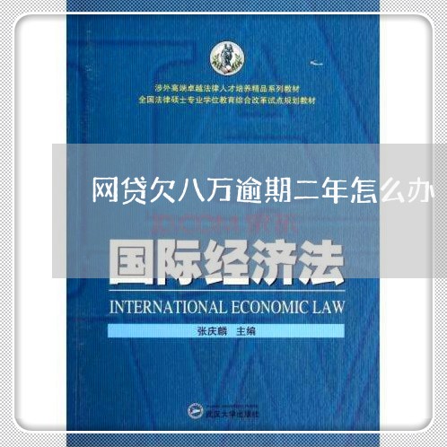 网贷欠八万逾期二年怎么办