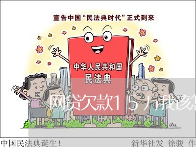 网贷欠款15万我该怎么办/2023100735940