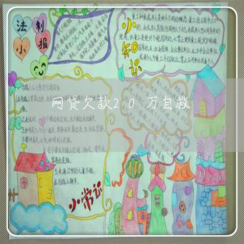 网贷欠款20万自救/2023022627373 网贷欠款20万自救/2023022627373