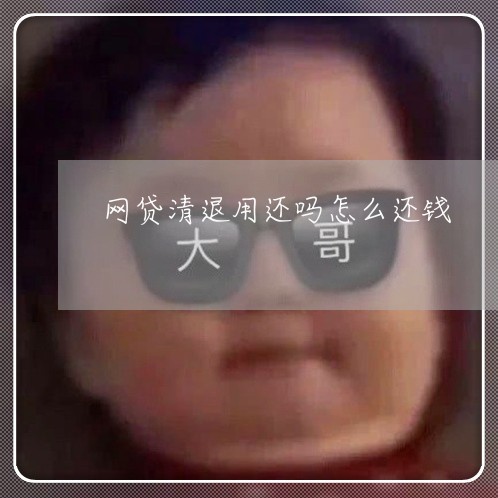 网贷清退用还吗怎么还钱/2023120762715