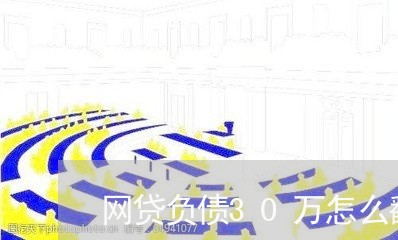 网贷负债30万怎么翻身/2023012972726