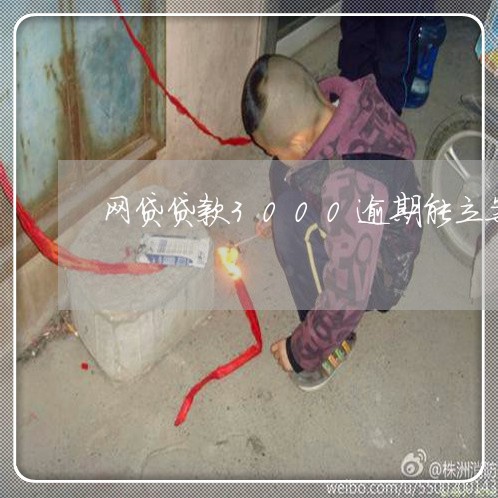 网贷贷款3000逾期能立案吗