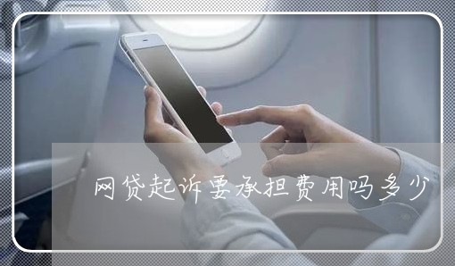 网贷起诉要承担费用吗多少/2023120604026