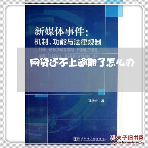 网贷还不上逾期了怎么办/2023100732707