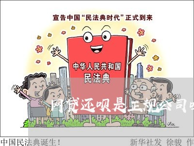 网贷还呗是正规公司吗/2023120701837