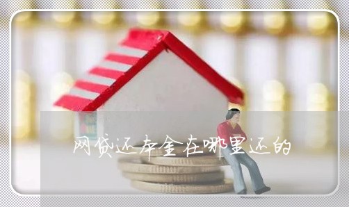 网贷还本金在哪里还的/2023120763714