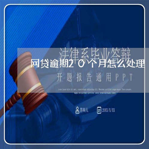 网贷逾期20个月怎么处理/2023120583937