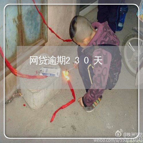 网贷逾期230天