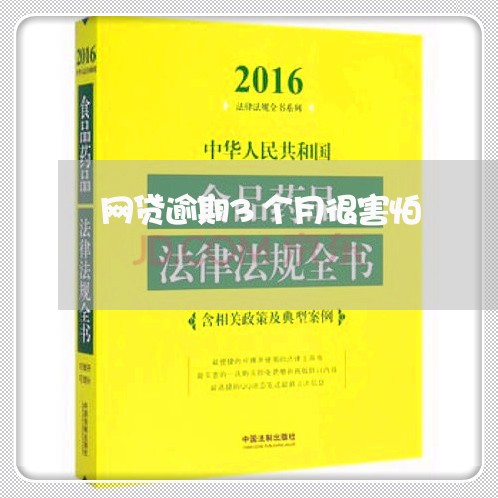 网贷逾期3个月很害怕/2023082425158